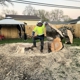 A Tree's Worth Tree Care