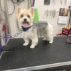 Poochie Bath & Boutique LLC gallery