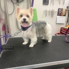 Poochie Bath & Boutique LLC