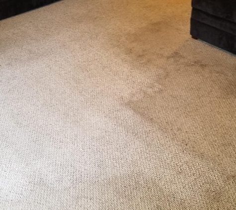 xtreme Green Carpet Cleaning - Morgantown, WV