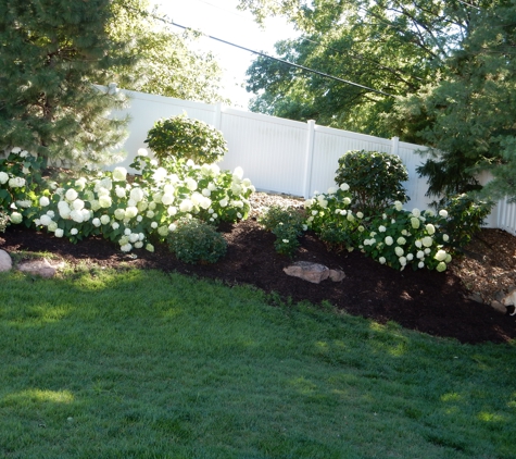 Tracy's Lawn & Landscaping Service - Saint Louis, MO