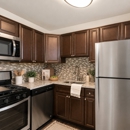 Charlesmont Apartment Homes - Apartments