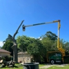 Kono Tree Care gallery