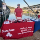 Amy Davis - State Farm Insurance Agent - Auto Insurance