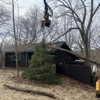 Midwest Tree & Landscape gallery