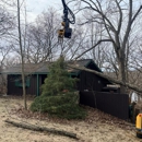 Midwest Tree & Landscape - Arborists