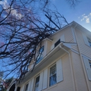 Testerman Tree Service - Tree Service