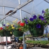 Shelby Nursery & Garden Center gallery