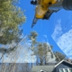 SkyHook Tree