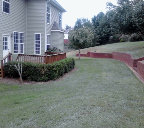 Cut Above Lawn Care