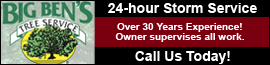 Business Banner