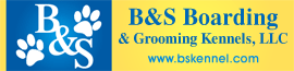 Business Banner