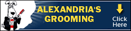 Business Banner