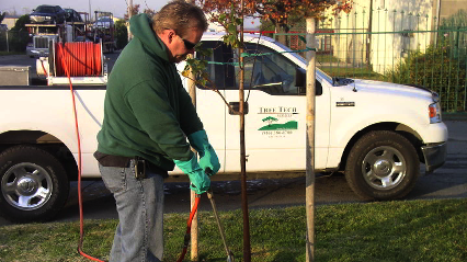 Tree Tech Services - Stump Removal & Grinding