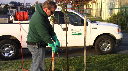 Tree Tech Services - Tree Service